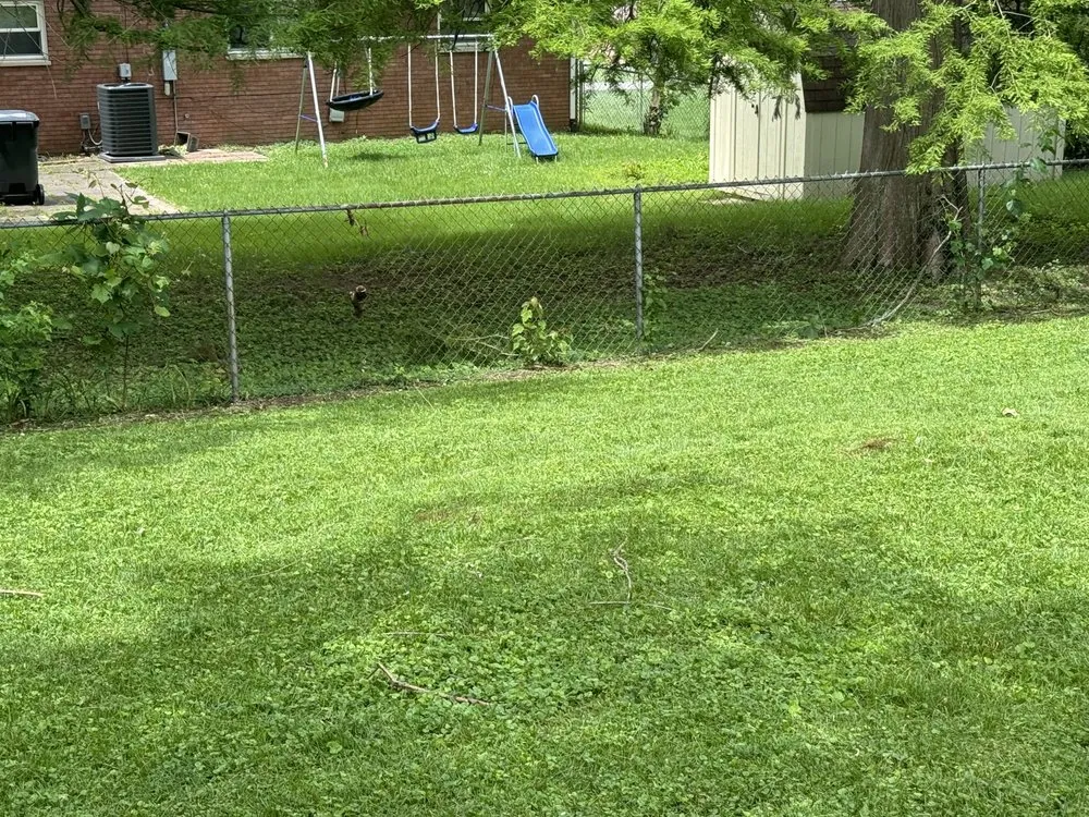 Reliable lawn mowing service in Mascoutah, IL by Greener Grass Lawn Service