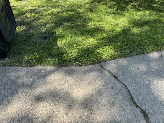 Greener Grass Lawn Service