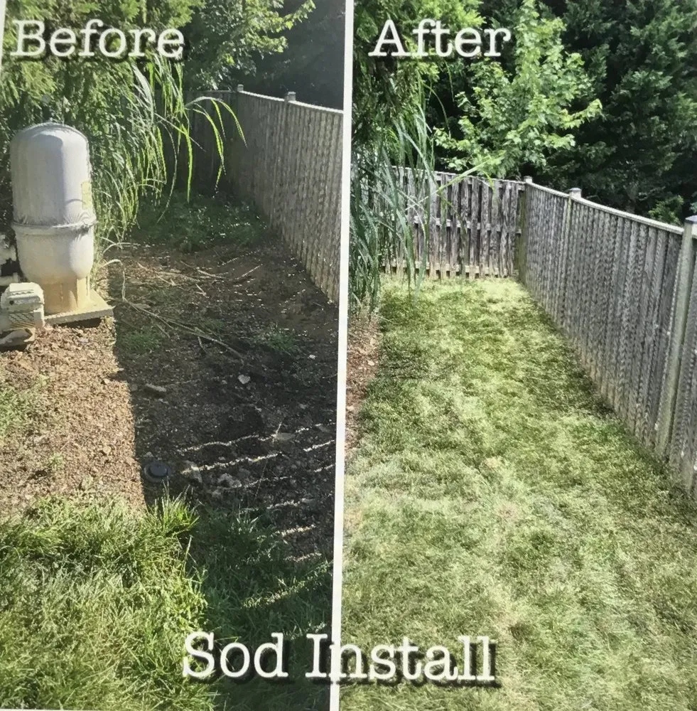 Expert residential landscaping for year-round maintenance in Ijamsville, MD by Greener Grass Lawn Services