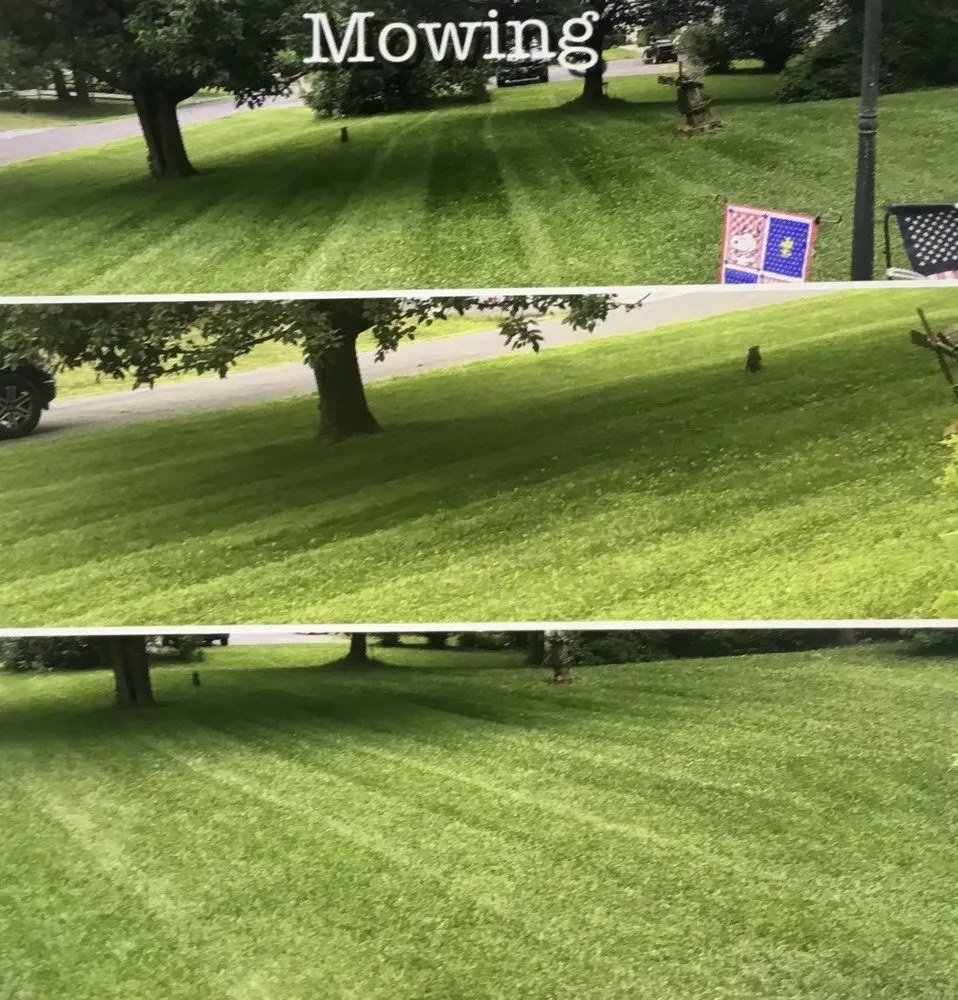 Top-rated lawn mowing service with custom design in Ijamsville, MD by Greener Grass Lawn Services