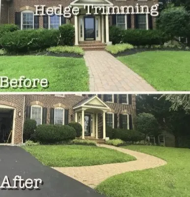Greener Grass Lawn Services Logo