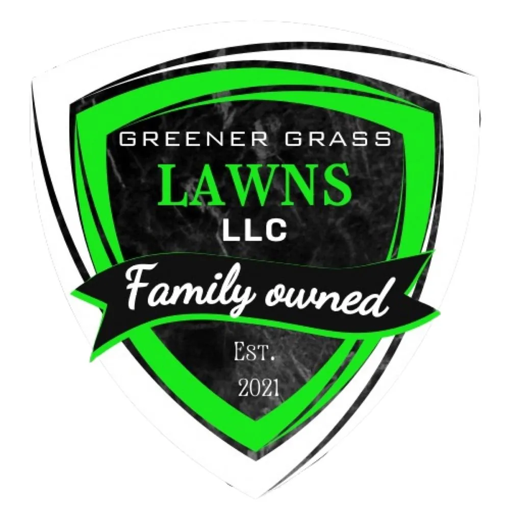 Affordable yard cleanup service in Mishawaka, IN by Greener Grass Lawns