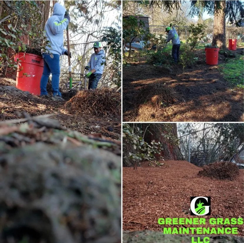 Custom yard cleanup service in Salem, OR - Greener Grass Maintenance