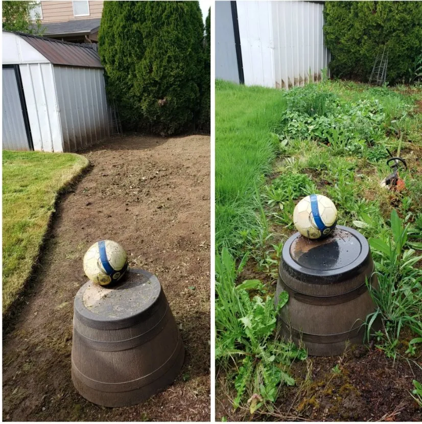 Professional garden landscaping for homes in Salem, OR by Greener Grass Maintenance