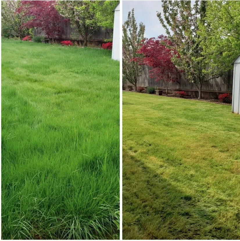 Top-rated landscape installation in Salem, OR by Greener Grass Maintenance