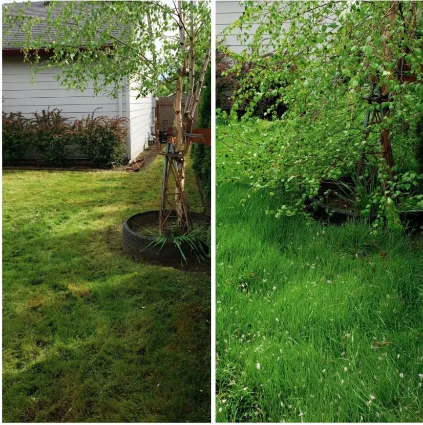 Expert landscaping services for residential properties across Salem, OR - Greener Grass Maintenance