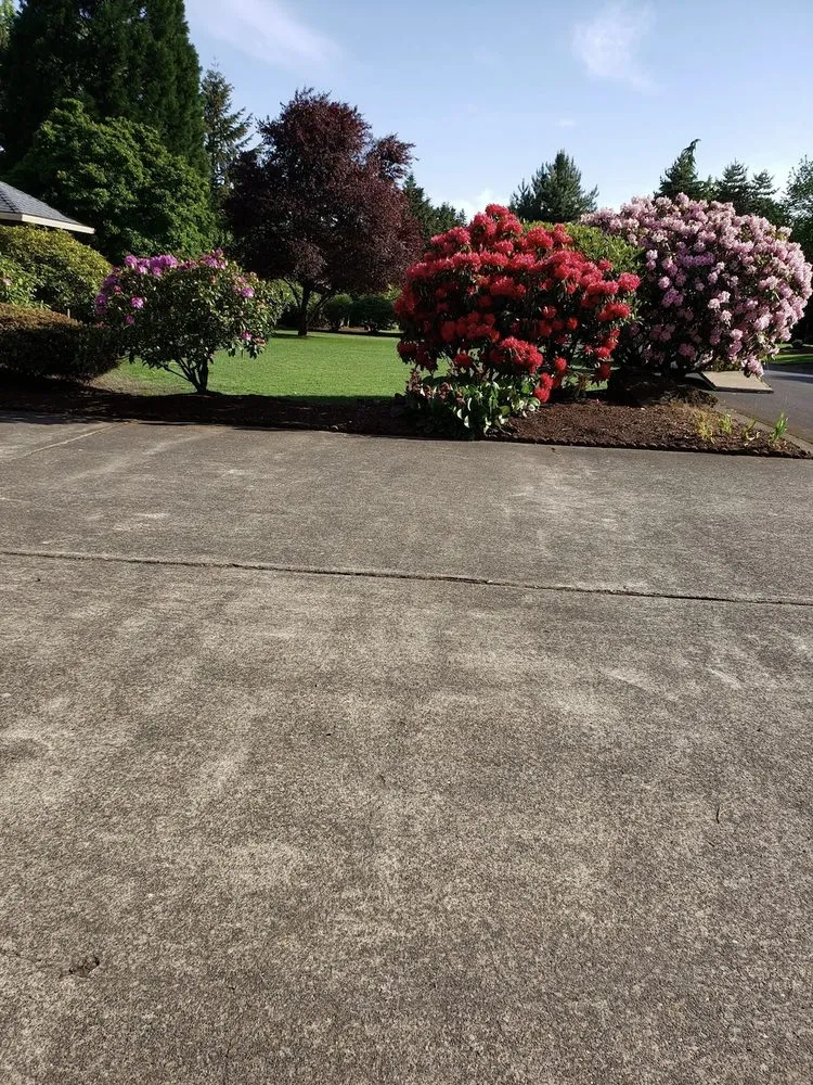 Trusted outdoor landscaping for homes across Salem, OR - Greener Grass Maintenance