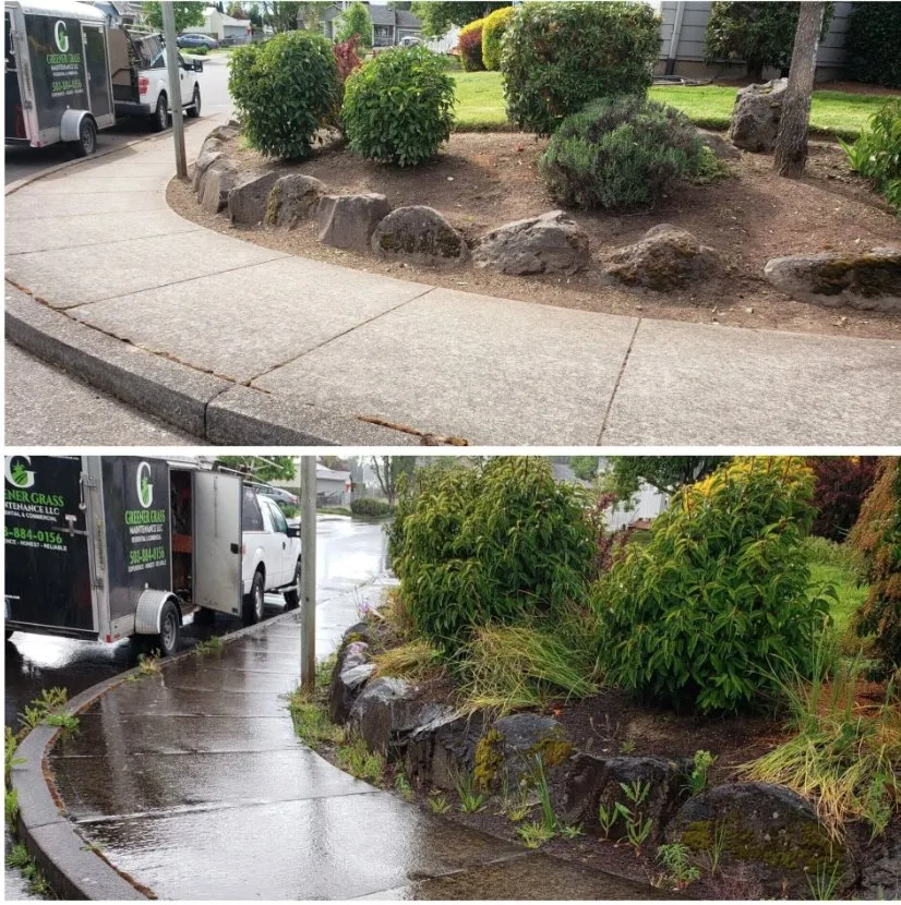 Trusted yard maintenance in Salem, OR - Greener Grass Maintenance