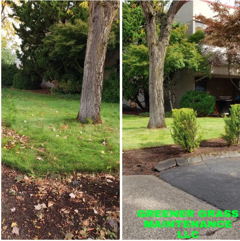 Top-rated yard cleanup service in Salem, OR - Greener Grass Maintenance