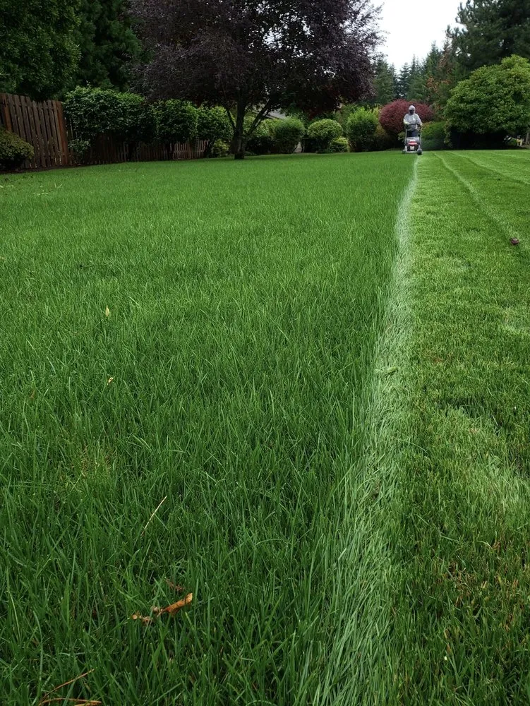 Trusted landscape installation experts serving Salem, OR - Greener Grass Maintenance