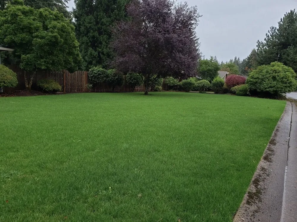 Local garden landscaping for year-round maintenance across Salem, OR - Greener Grass Maintenance