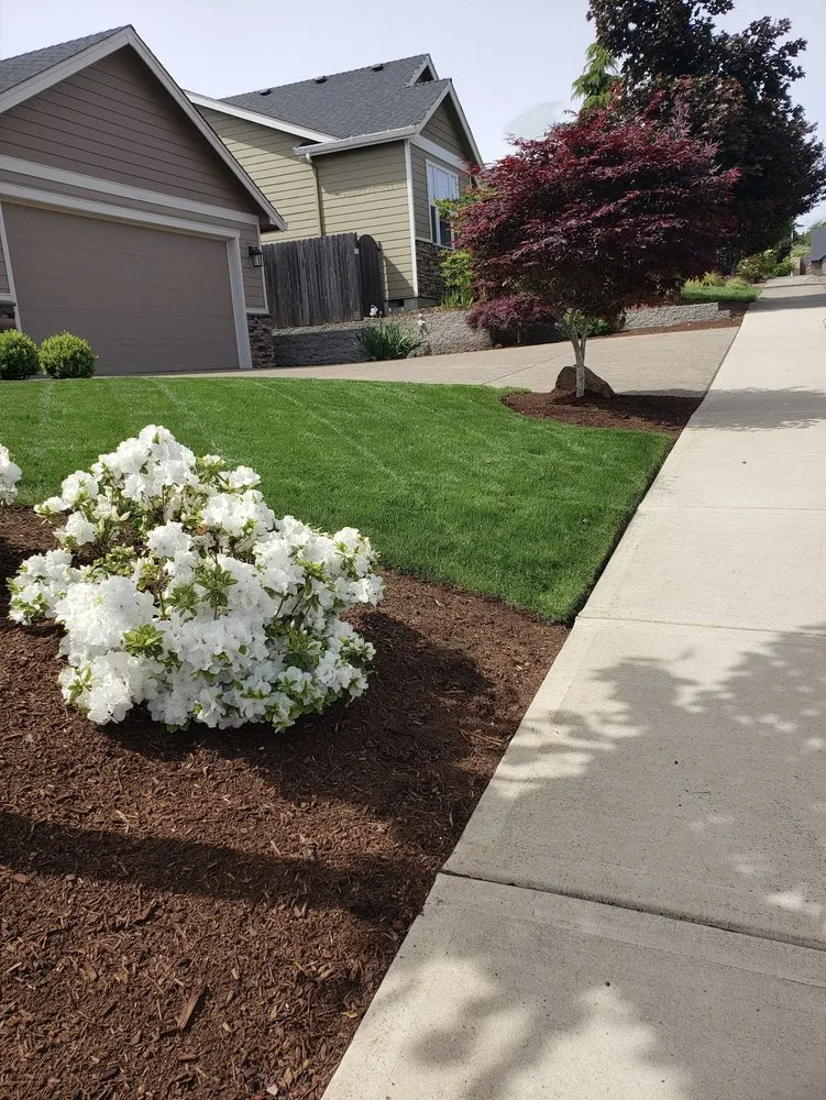 Expert lawn mowing service experts serving Salem, OR - Greener Grass Maintenance