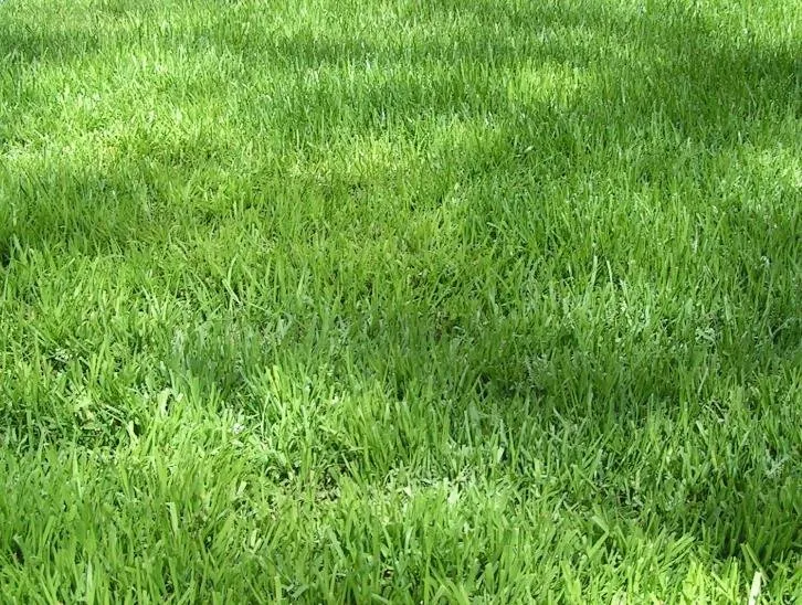 Affordable landscape design in Oklahoma City, OK by Greener Grass