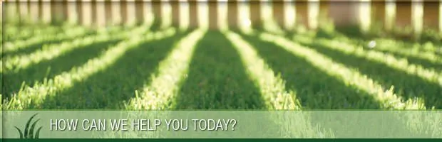 Expert garden landscaping in Canton, OH - Greener Grass Organic Lawn & Pest