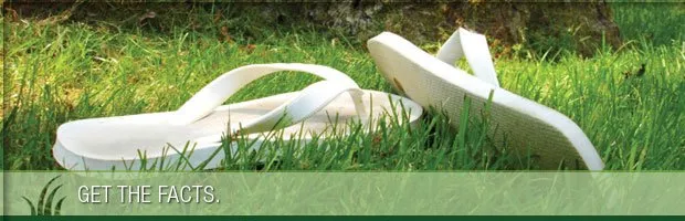 Expert lawn care service for year-round maintenance in Canton, OH by Greener Grass Organic Lawn & Pest