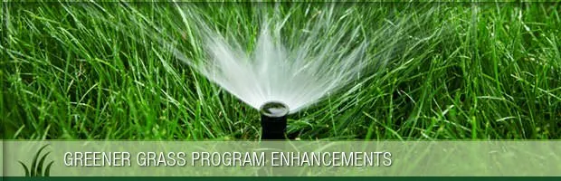 Trusted landscaping services in Canton, OH - Greener Grass Organic Lawn & Pest