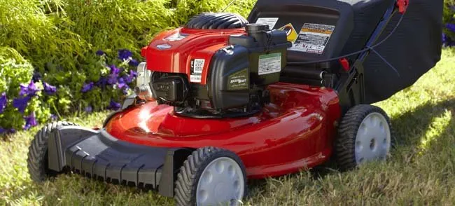 Trusted yard cleanup service for homes across Canton, OH - Greener Grass Organic Lawn & Pest