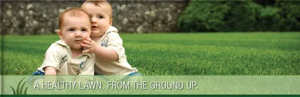 Professional garden landscaping for year-round maintenance in Canton, OH by Greener Grass Organic Lawn & Pest