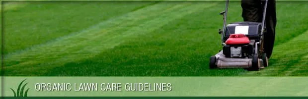 Expert landscape design near you across Canton, OH - Greener Grass Organic Lawn & Pest