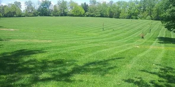 Custom garden landscaping experts serving Pendleton, KY - Greener Grass Property Management