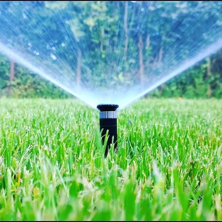 Affordable residential landscaping for beautiful yards in Waxahachie, TX by Greener Grass