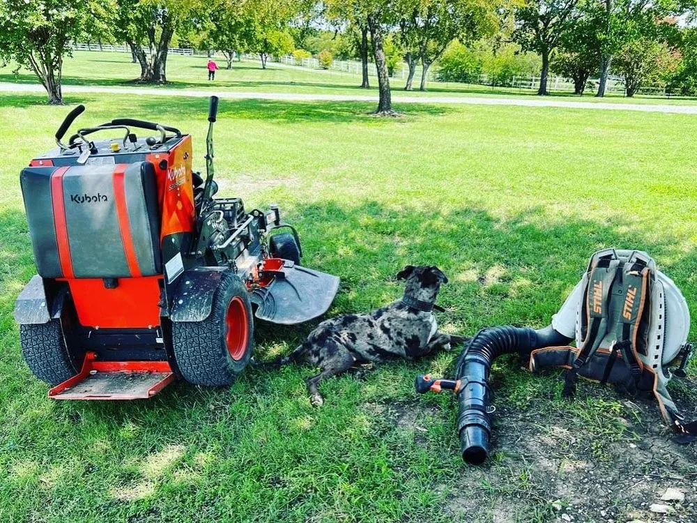 Affordable outdoor landscaping in Waxahachie, TX by Greener Grass