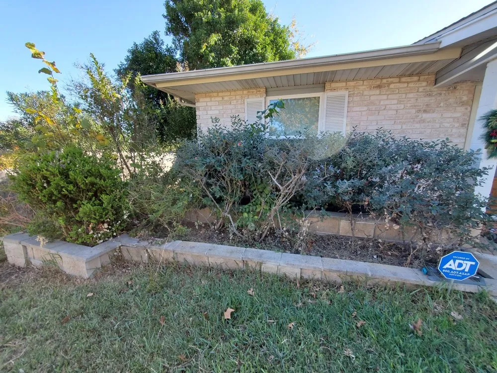 Top-rated garden landscaping near you in San Antonio, TX by Greener Grasses