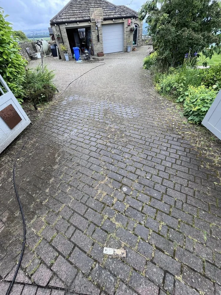 Reliable landscaping services in San Antonio, TX - Greener Grasses