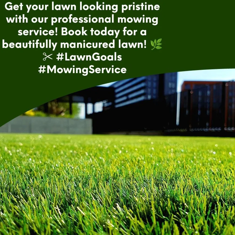 Reliable landscape installation in San Antonio, TX - Greener Grasses