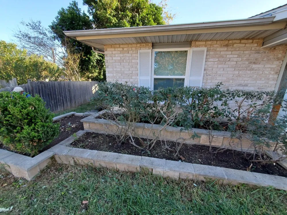 Top-rated yard cleanup service in San Antonio, TX by Greener Grasses