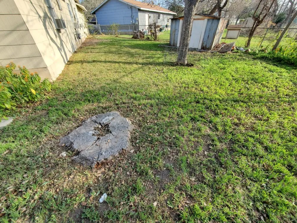 Trusted yard cleanup service experts serving San Antonio, TX - Greener Grasses