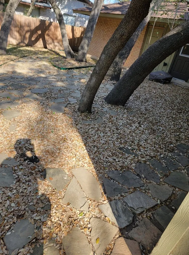 Reliable outdoor landscaping in San Antonio, TX by Greener Grasses