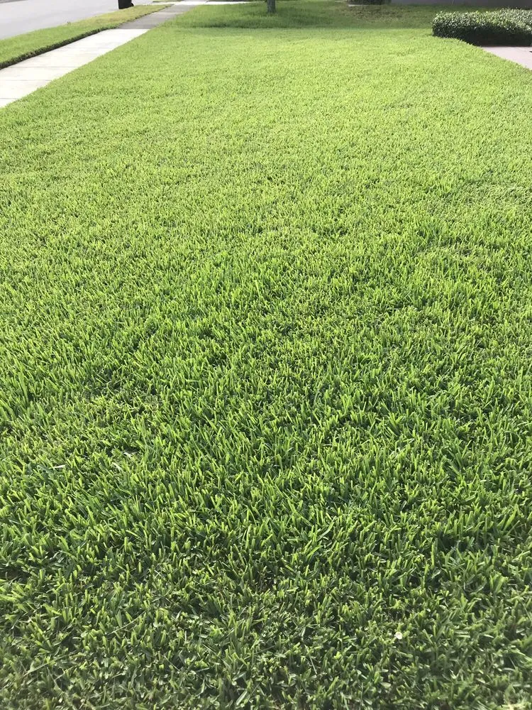 Expert yard maintenance in Apopka, FL - Greener Grounds