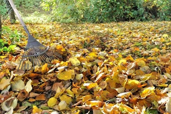 Custom residential landscaping for outdoor upgrades in Birmingham, AL by Greener Grounds