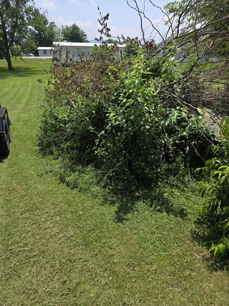 Professional residential landscaping for residential properties across Chambersburg, PA - Greener Hauling & Junk Removal