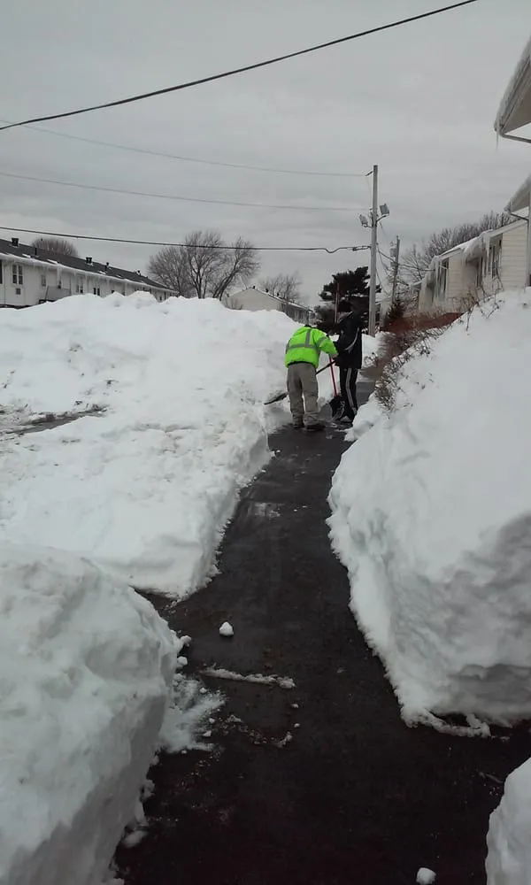 Professional outdoor landscaping experts serving Middleboro, MA - Greener Horizon