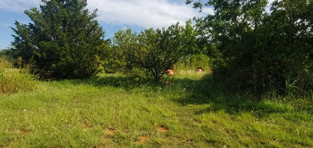 Custom outdoor landscaping in Duncan, OK by Greener Horizons GC&L