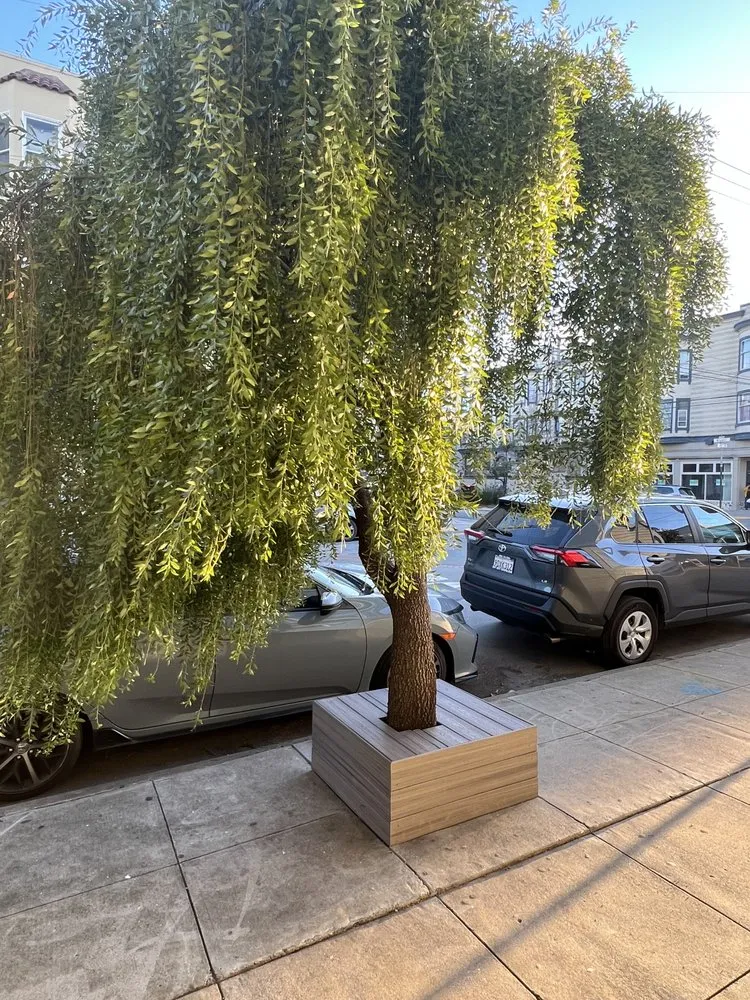 Custom yard cleanup service for outdoor upgrades across Daly City, CA - Greener Landscape Construction