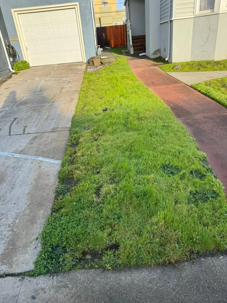 Local lawn mowing service for residential properties across Daly City, CA - Greener Landscape Construction
