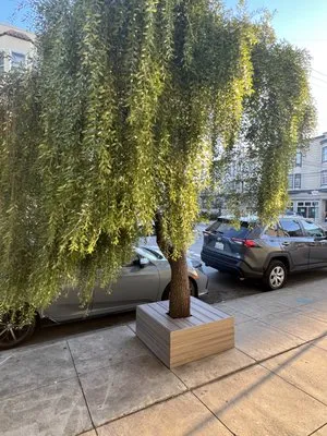 Greener Landscape Construction