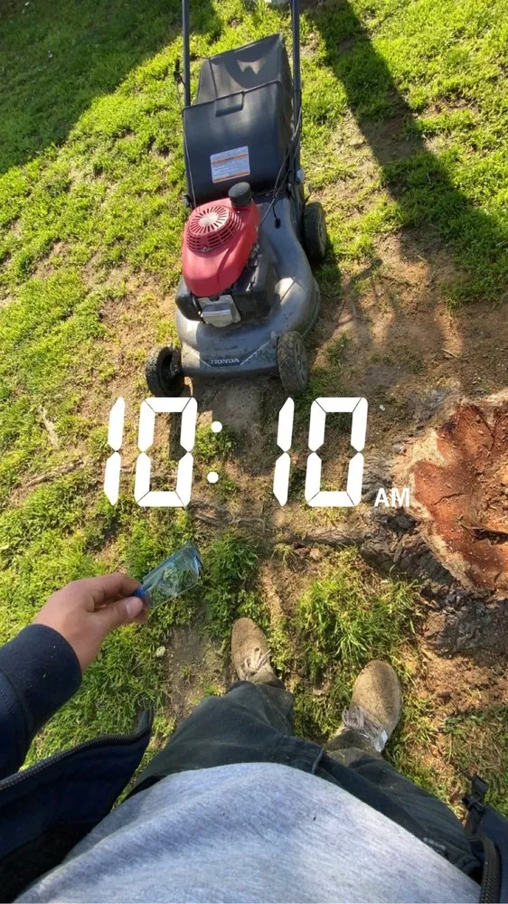 Local garden landscaping in Modesto, CA by Greener landscaping