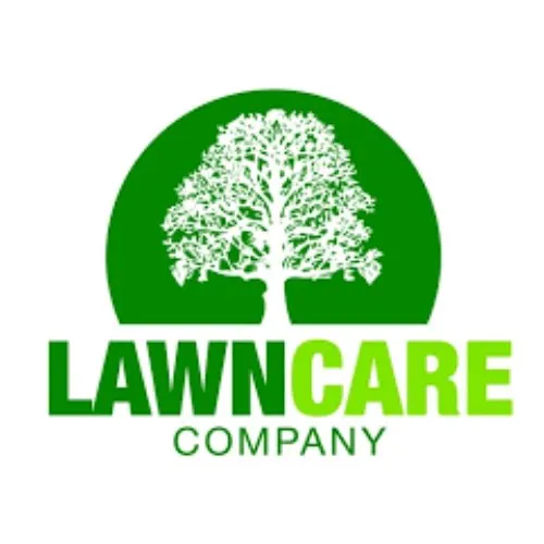 Local yard cleanup service for year-round maintenance in Modesto, CA by Greener landscaping