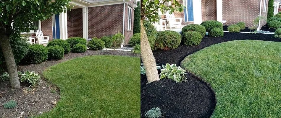 Reliable landscaping services near you across Modesto, CA - Greener landscaping