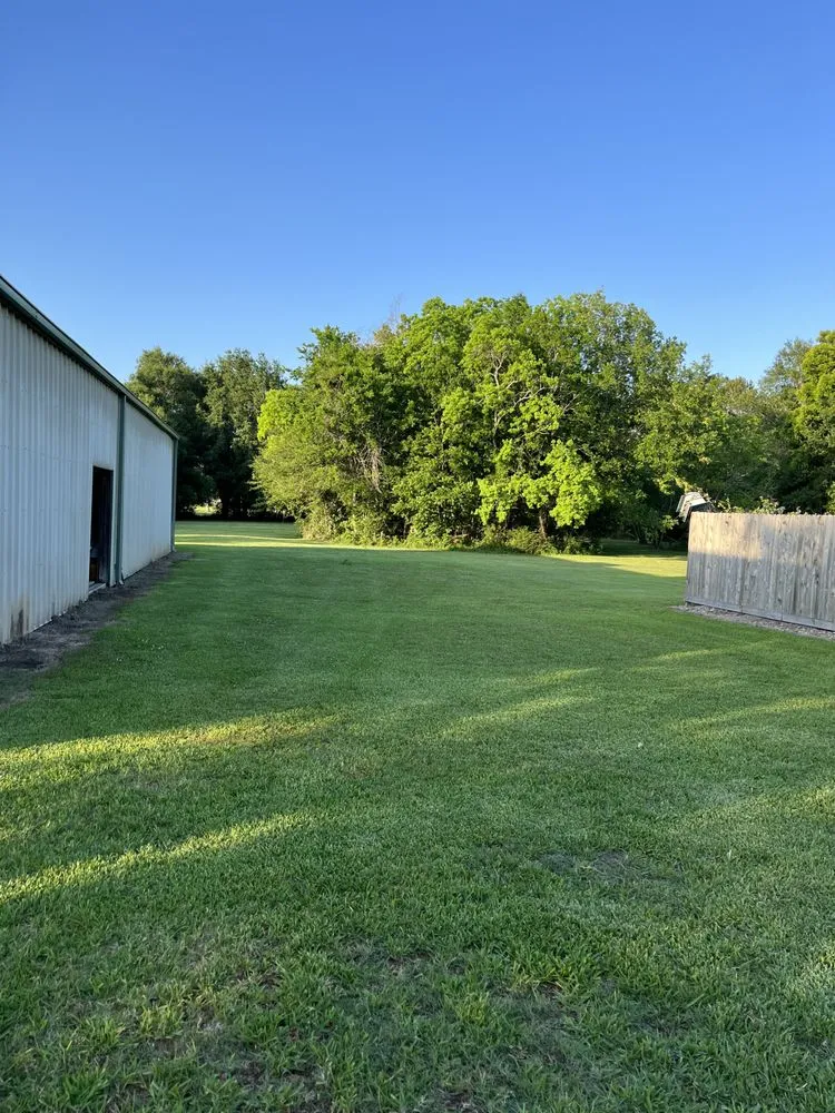 Professional outdoor landscaping with custom design across Alvin, TX - Greener Lawns