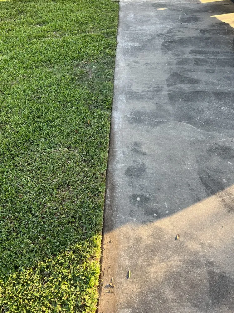 Professional landscaping services for outdoor upgrades in Alvin, TX by Greener Lawns