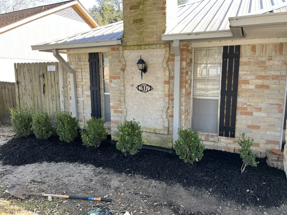 Top-rated yard cleanup service in Alvin, TX by Greener Lawns