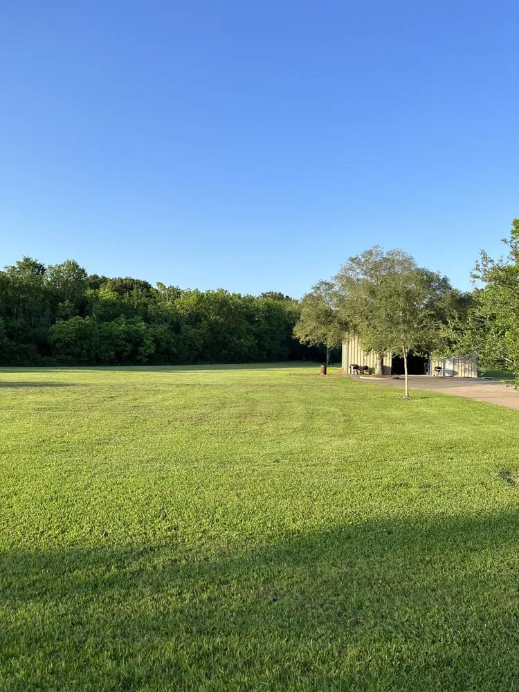 Reliable residential landscaping experts serving Alvin, TX - Greener Lawns