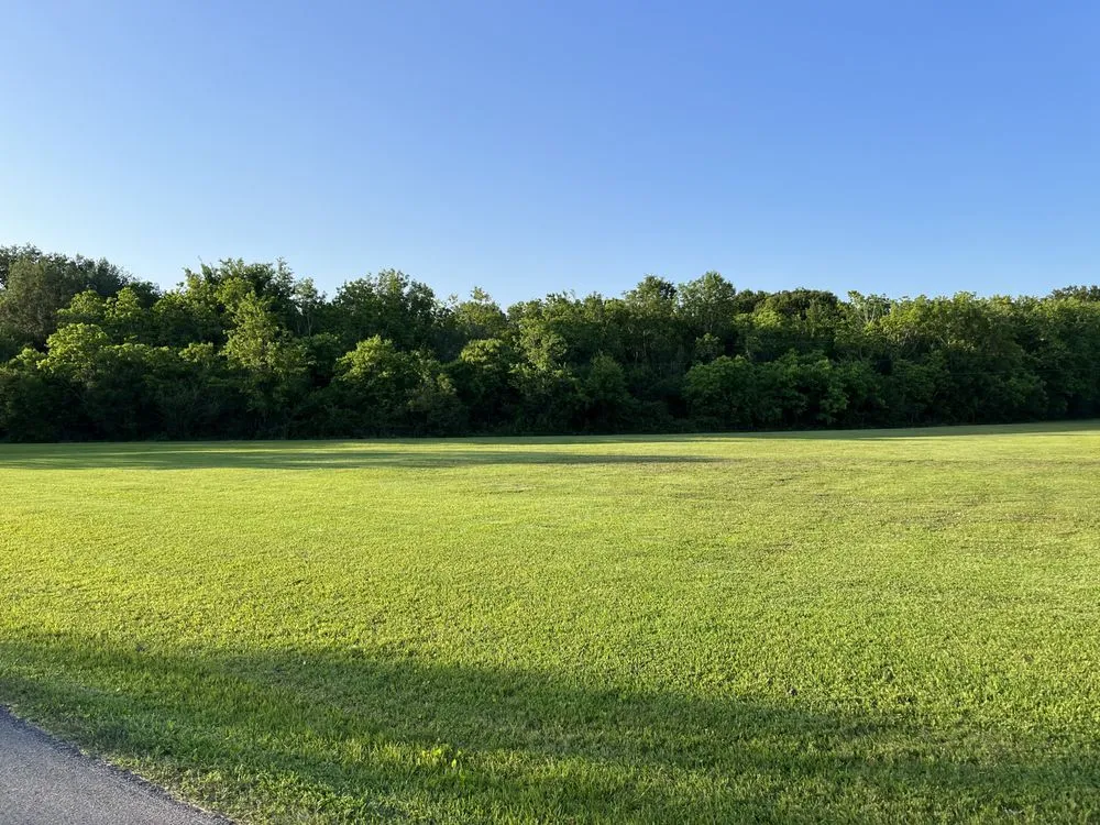 Local yard cleanup service experts serving Alvin, TX - Greener Lawns