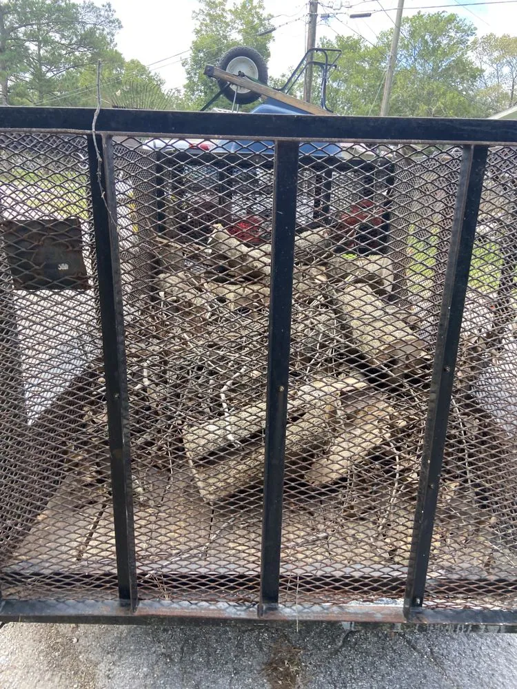 Local yard cleanup service in Alvin, TX - Greener Lawns