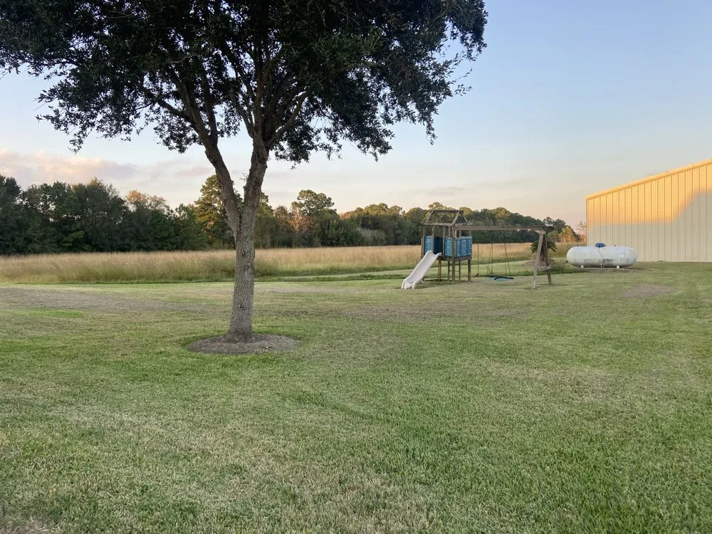Reliable lawn mowing service in Alvin, TX - Greener Lawns